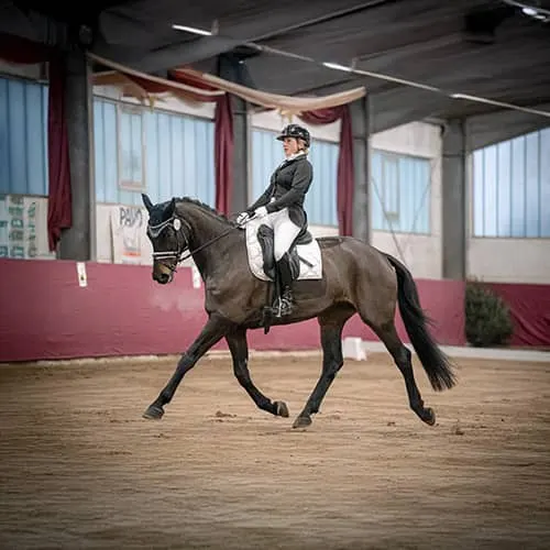 Lightwork Turnierfoto