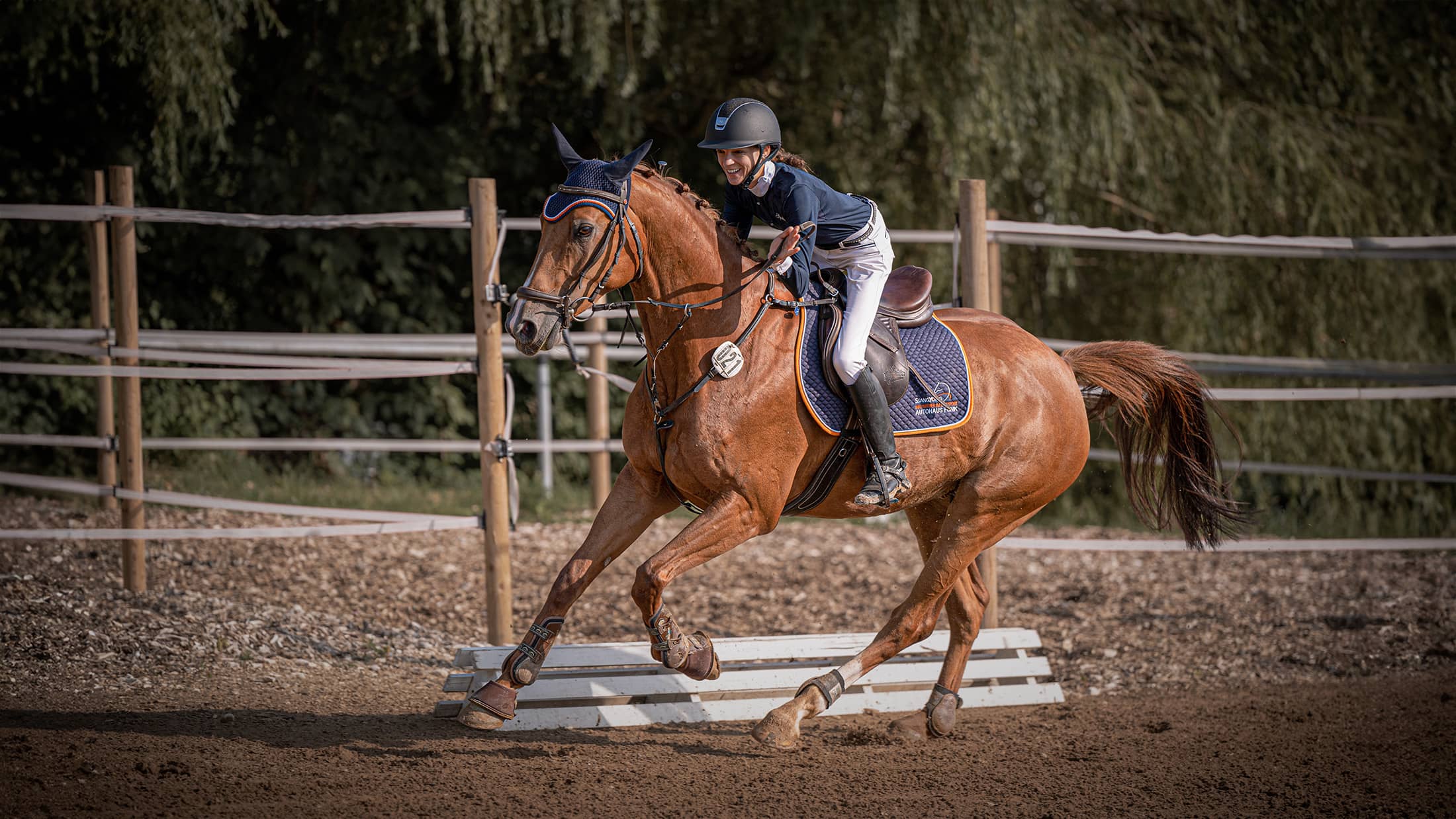 Reitsportmoment fotografiert von Lightwork
